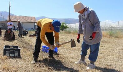 Büyükşehir’in tarım destekleri üreticiyi sevindirdi