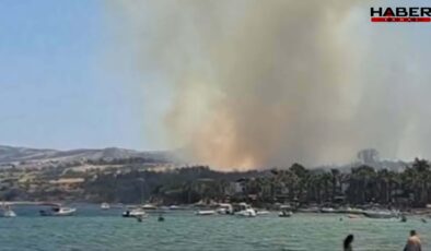 Çanakkale’de yangın: Alevlere havadan ve karadan müdahale ediliyor