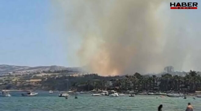 Çanakkale’de yangın: Alevlere havadan ve karadan müdahale ediliyor