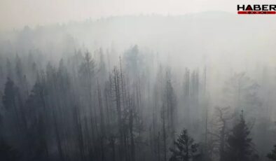 Çankırı yangını kontrol altında