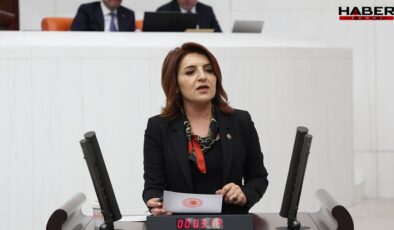 CHP'li Kış: Bu vurdumduymazlığa seyirci kalmayacağız!