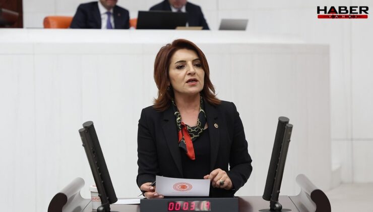 CHP'li Kış: Bu vurdumduymazlığa seyirci kalmayacağız!