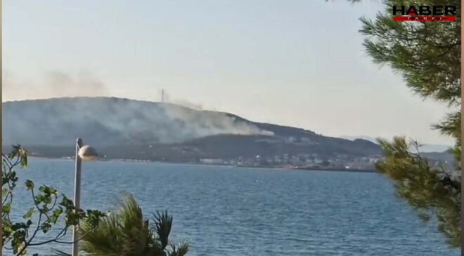 Cunda Adası’nda orman yangını