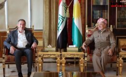 DEM Parti heyeti, Mesut Barzani ile görüştü