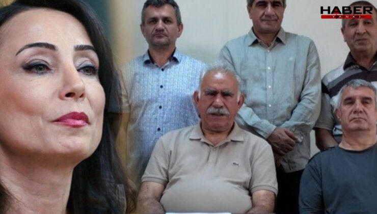 DEM Partili Hatimoğulları, PKK'nın şartını açıkladı: "Öcalan'ın özgürlüğünü istiyorlar"