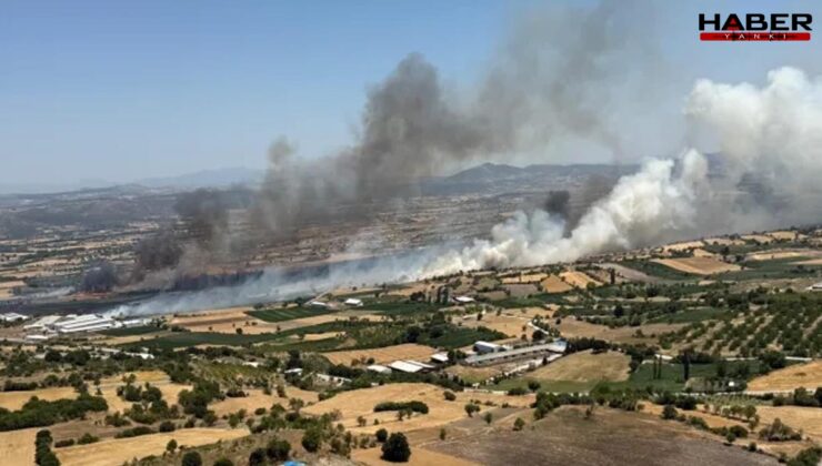 Edremit'te zeytinlik alanda çıkan yangın 2 saatte kontrol altına alındı