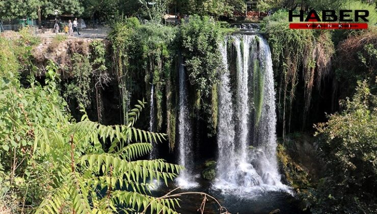 Ekipler seferber oldu: Telefona bakarken falezlerden düştü iddiası