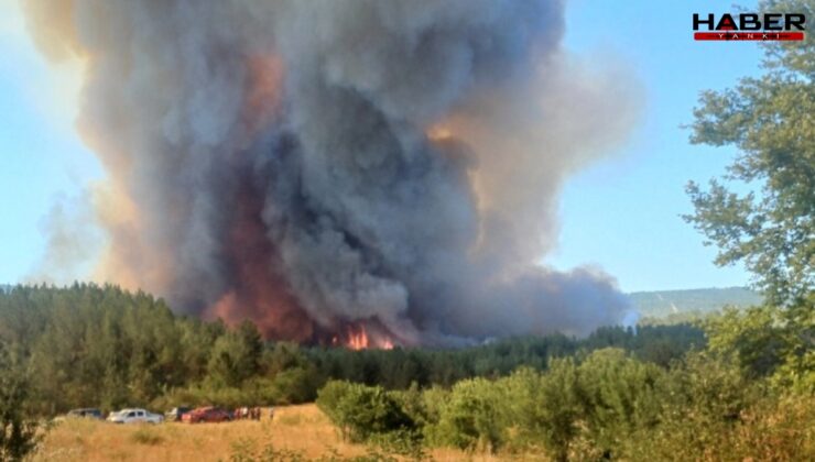 Evlendikten 10 gün sonra yangında şehit oldu