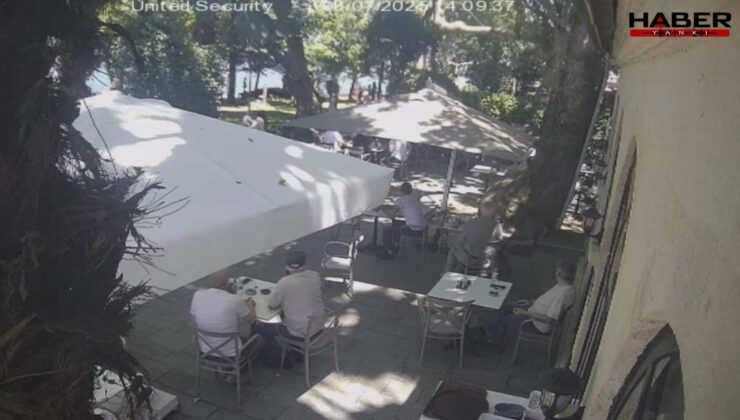Genç öğretmenin hayatını kaybettiği olay: Ağacın kırılan dalının altında kaldı