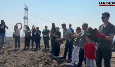 Hatay'da tedavi edilen yabani kuşlar yeniden doğaya kavuştu