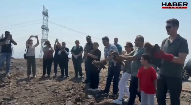 Hatay'da tedavi edilen yabani kuşlar yeniden doğaya kavuştu
