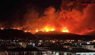 Hatay'daki orman yangınıyla ilgili 1 kişi gözaltına alındı