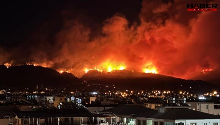 Hatay'daki orman yangınıyla ilgili 1 kişi gözaltına alındı