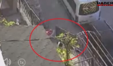 Havladı diye köpeği sopayla dövdü!