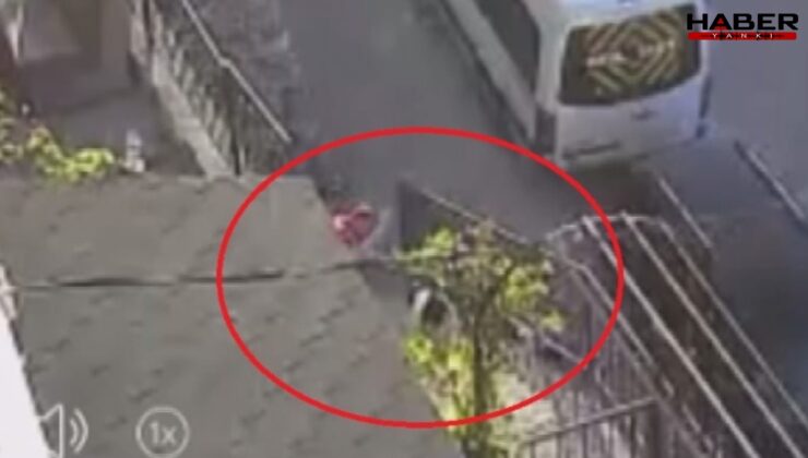 Havladı diye köpeği sopayla dövdü!