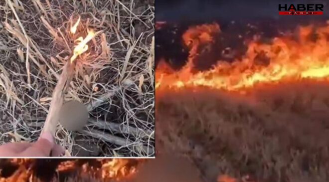 Kanayan yaramızdı; Anız yakıp paylaşan çocuk gözaltına alındı!