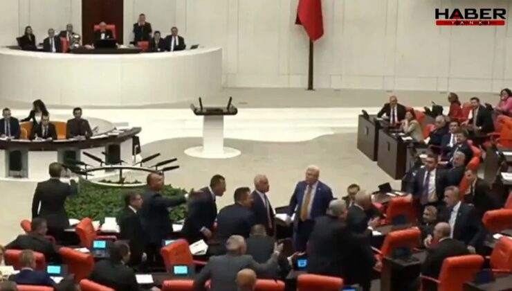 Meclis'te 'ayı' tartışması: Vekiller bir kez daha birbirine girdi