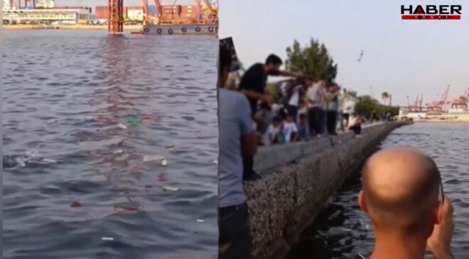 Mersin'den Gazze'ye gitmesi için onlarca şişe denize fırlatıldı