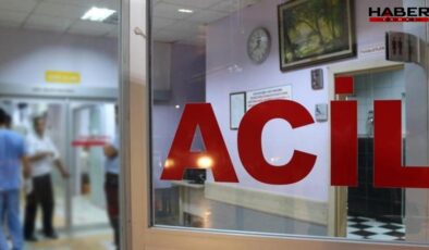 Milas’ta kamyonetin çarptığı yaya hayatını kaybetti