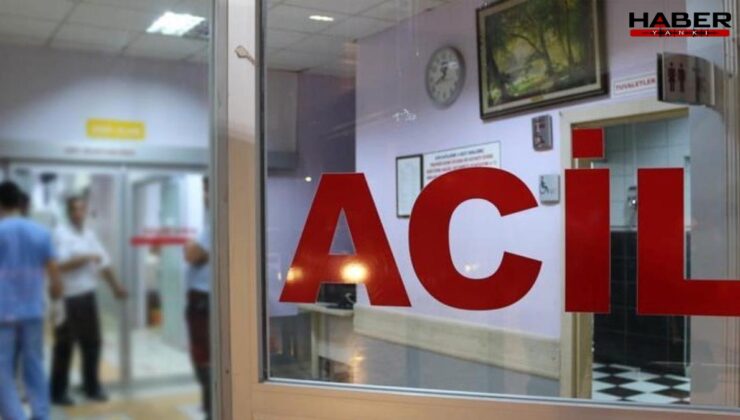 Milas’ta kamyonetin çarptığı yaya hayatını kaybetti