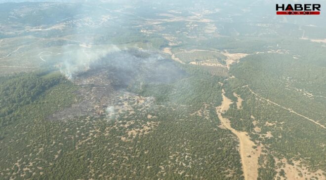 Muğla’da orman yangını: Sebebi belli oldu