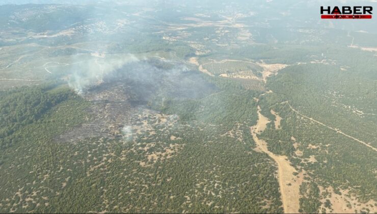 Muğla’da orman yangını: Sebebi belli oldu