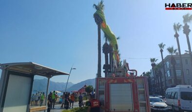 Muğla'da deniz paraşütü ağaca takıldı