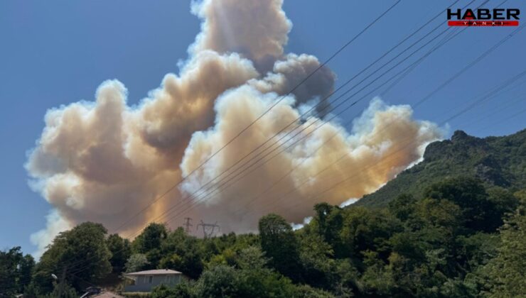 Ormanlarımızı çürük elektrik hatları yaktı