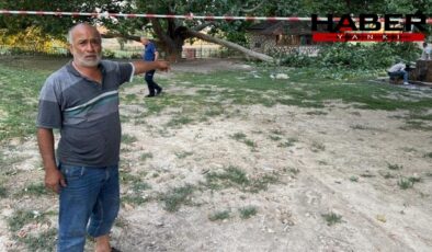 Piknikte dehşet! ölümden kıl payı kurtuldular