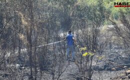 Sakarya’da çıkan orman yangını kontrol altına alındı