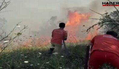Sakarya'da orman yangını