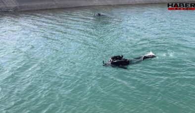 Şanlıurfa’da sulama kanalına giren kişi akıntıya kapılarak kayboldu