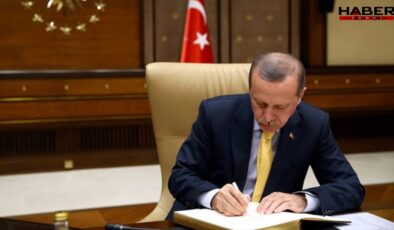 Son Dakika…. Cumhurbaşkanlığı İletişim Başkan yardımcısı görevden alındı