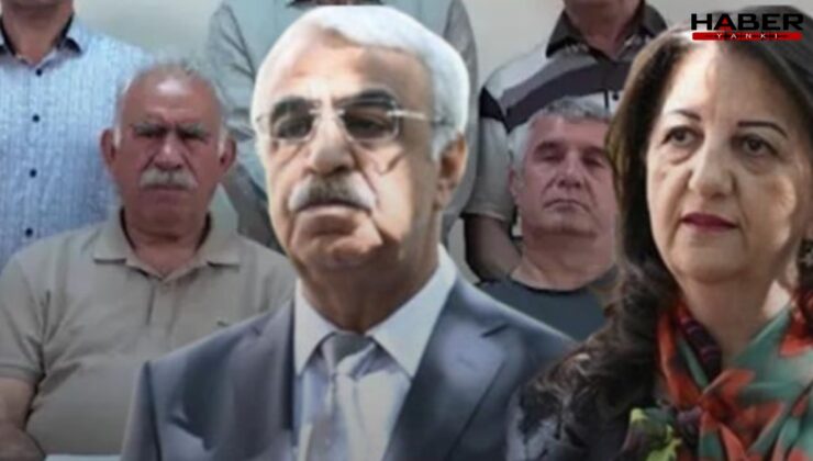 Sosyal medyayı karıştıran kayıtlara yalanlama! DEM Parti İmralı Heyeti: Yalnızca bizim açıklamalarımız geçerlidir.