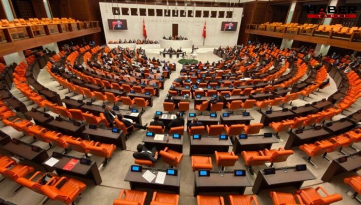TBMM zeytinlikleri ranta açtı