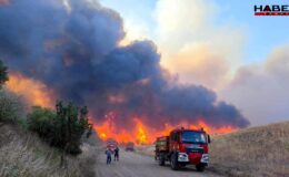 Tekirdağ'da orman yangını! Bir mahalle boşaltılıyor
