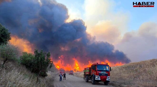 Tekirdağ'da orman yangını! Bir mahalle boşaltılıyor