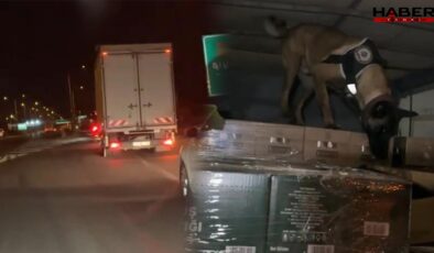TEM Otoyolu'nda 9 kilo uyuşturucu ele geçirildi