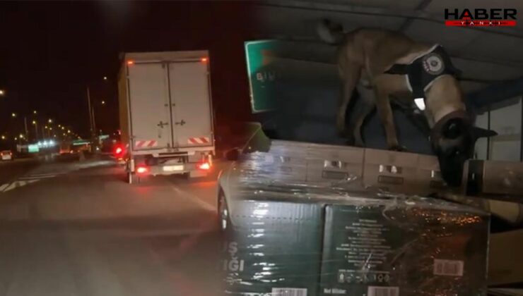 TEM Otoyolu'nda 9 kilo uyuşturucu ele geçirildi