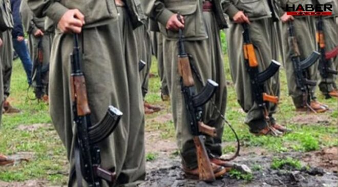 Terör örgütü PKK'nın 'silah bırakma' sürecinin yarın başlaması bekleniyor