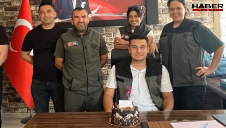 Türkiye 10 şehidine ağlarken AKP'li başkanın oğlu Orman Müdürlüğü'nde doğum günü kutladı