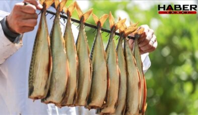 Türkiye'de milyonlarca kişi düzenli olarak tüketiyor: Sağlığa en zararlı balık türü belli oldu