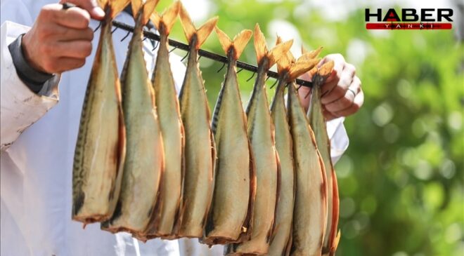 Türkiye'de milyonlarca kişi düzenli olarak tüketiyor: Sağlığa en zararlı balık türü belli oldu