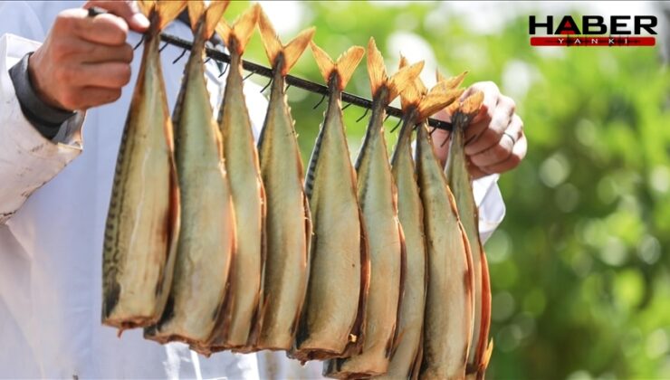 Türkiye'de milyonlarca kişi düzenli olarak tüketiyor: Sağlığa en zararlı balık türü belli oldu
