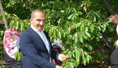 Uçak; “Don kirazı, kiraz ihracatı vurdu”
