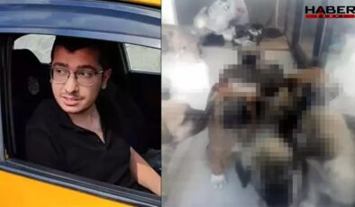 'Türkiye tarihinin gördüğü ilk seri hayvan katili' Sapık doktorun ifadeleri 'pes' dedirtti!
