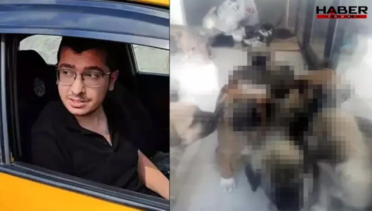 'Türkiye tarihinin gördüğü ilk seri hayvan katili' Sapık doktorun ifadeleri 'pes' dedirtti!