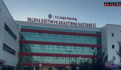 Yalova'da 45 işçi hastanelik oldu