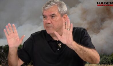 Yılmaz Özdil'den yangın isyanı: 'Gözyaşıyla söner mi?'