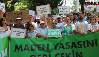 Zeytinliklerini koruyan köylülerden kamuoyuna açık mektup